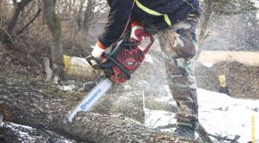 Acheter du bois de chauffage à un particulier : quelles précautions prendre?
