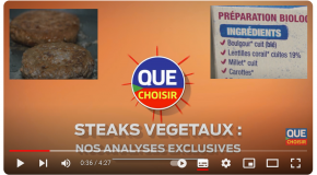 Steaks végétaux : que valent les alternatives à la viande ? (video 4.27′)