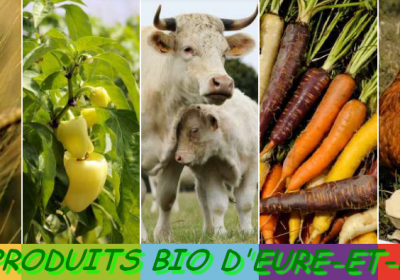 GABEL « Groupement des Agriculteurs Bio d’Eure-et-Loir » : une association qui ne manque pas de sel !