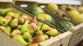 Témoignage : arnaque aux fruits et légumes en Eure-et-Loir, quand le consommateur est pris pour une poire par des marchands qui abusent
