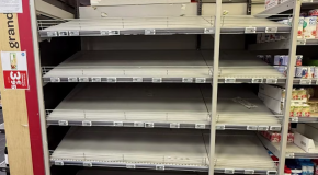 Œufs (vidéo) : les raisons d’une pénurie